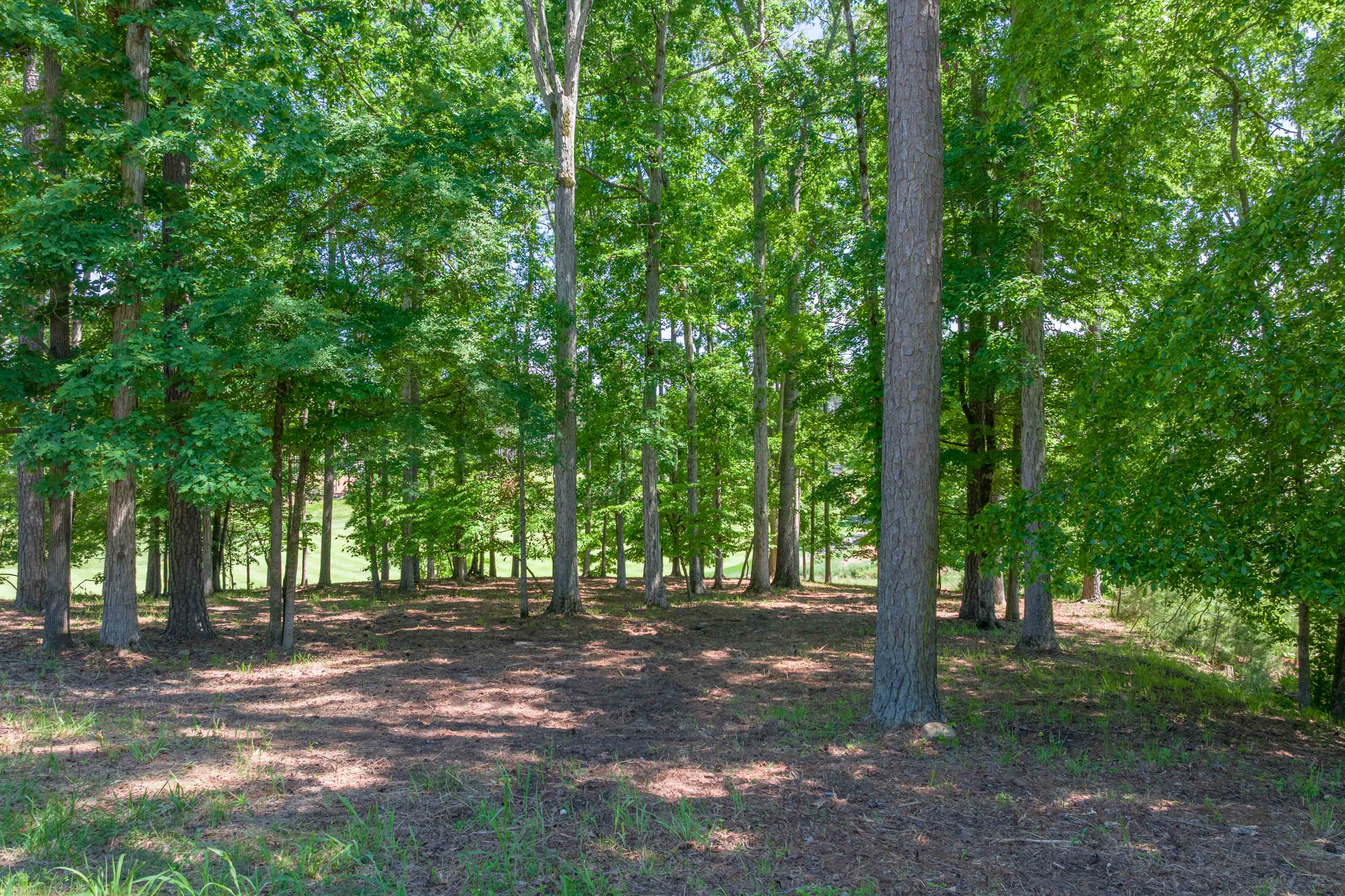 1040 Bunker Bend image 5